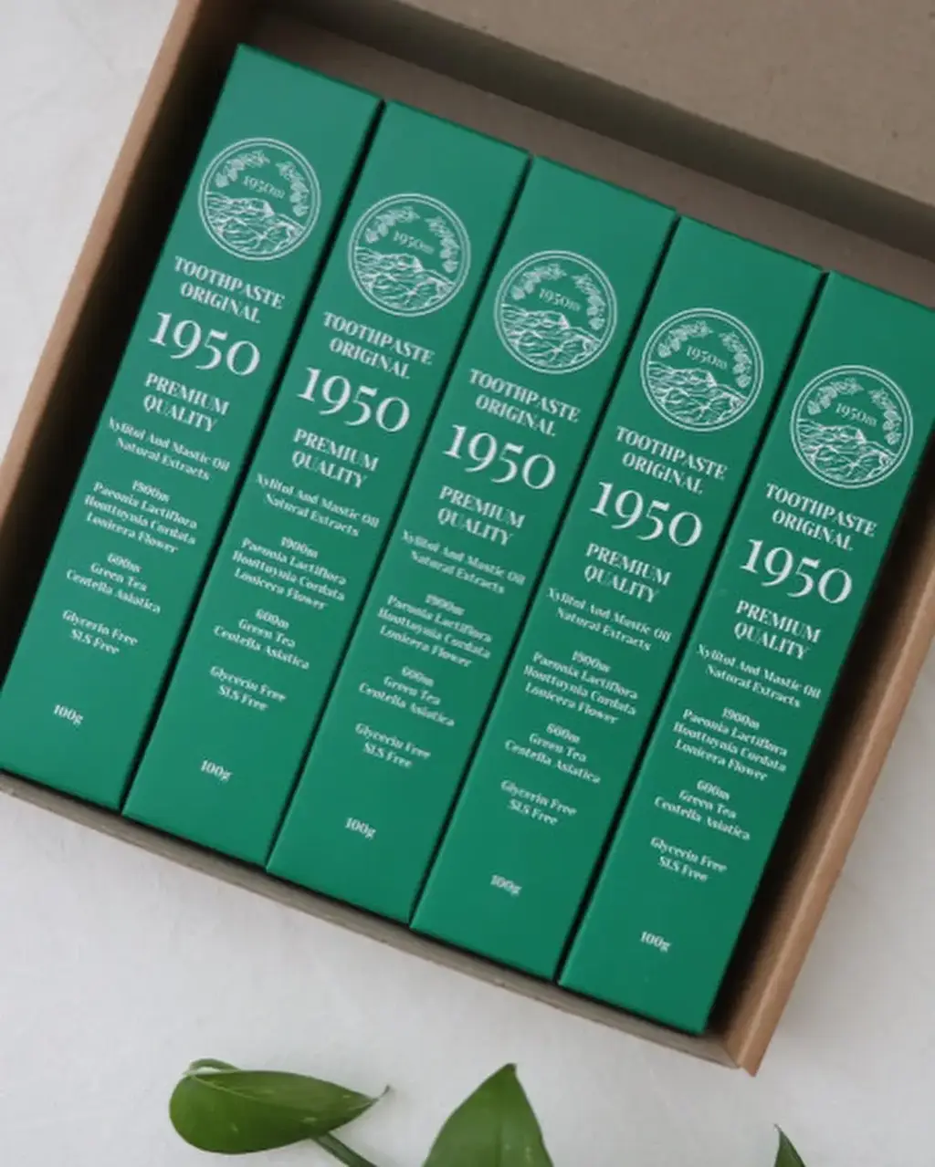 [무불소] 1950 제주 치약 기획 100g*5개입